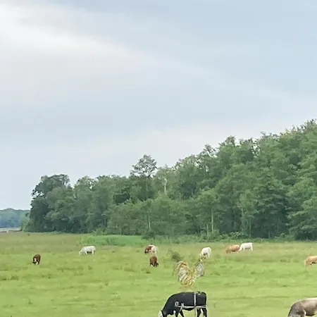 Nyaraló Cozy Forest House With Fjord View Near Jaegerspris Kulhuse