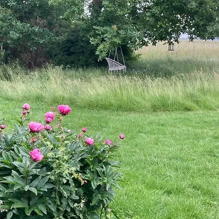 Cozy Forest House With Fjord View Near Jaegerspris Nyaraló *